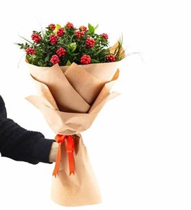 kokina yılbaşı çiçeği